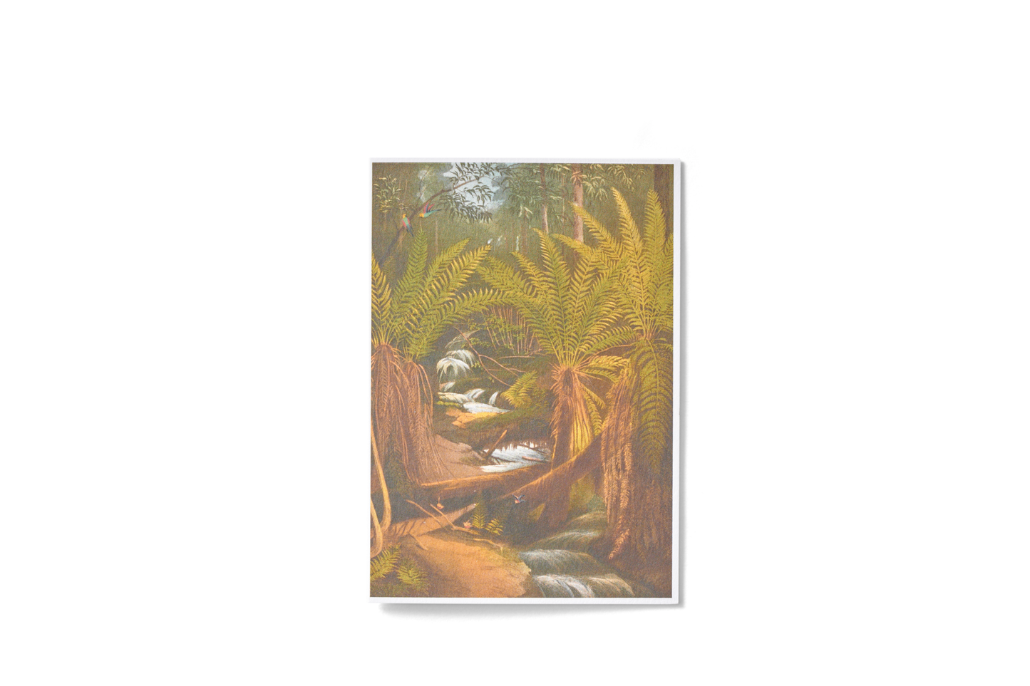Mount Useful Card